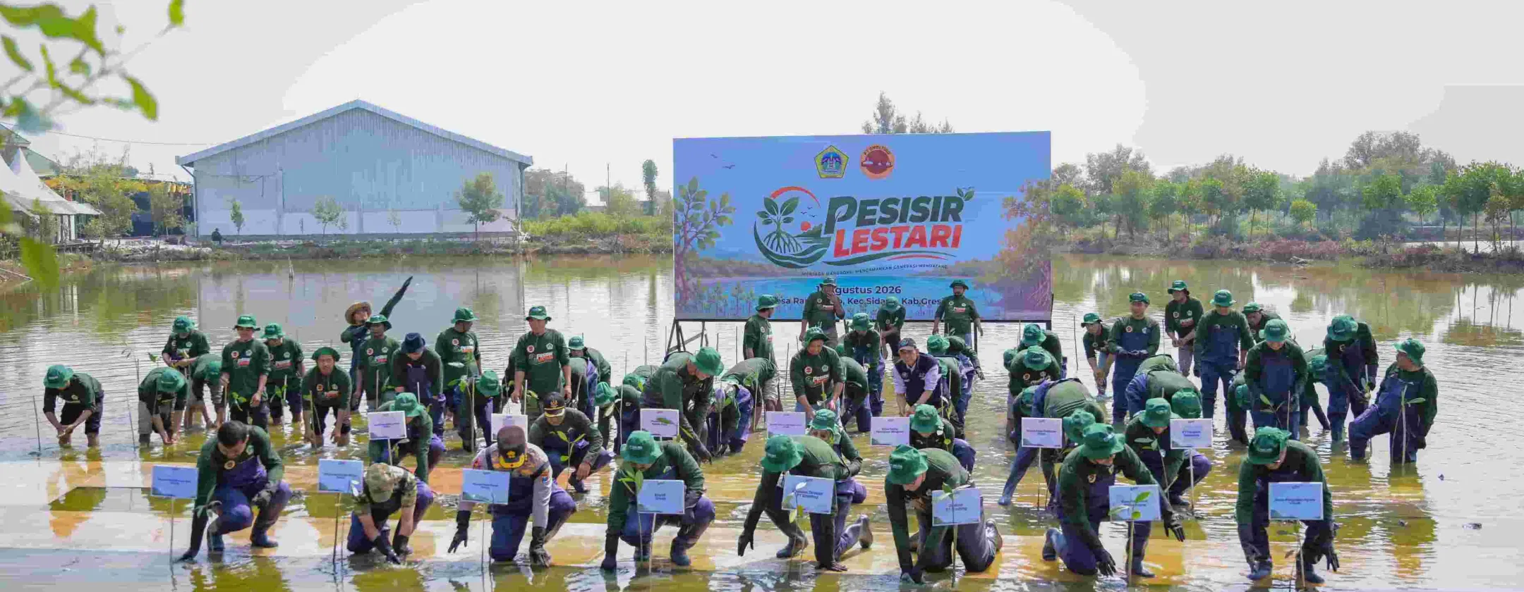 Planting mangrove together in Randuboto Village, Sidayu Subdistrict, Gresik Regency.